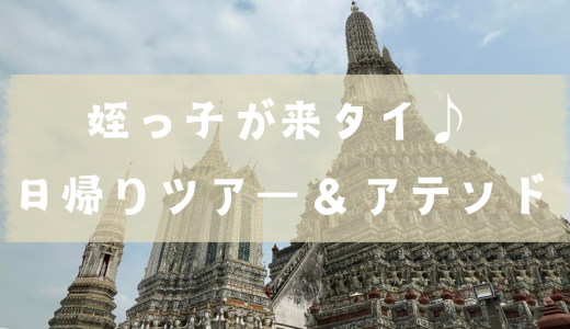 姪っ子が来タイ！アユタヤで象乗りと盛り沢山な日帰りツアー＆アテンド内容をご紹介♪