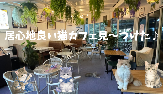 オンヌットに可愛い猫たちの隠れ家【Cat.ffee by klassique Sukhumvit】